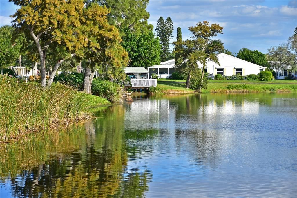 MTV lake shoreline