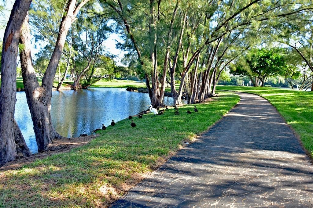 MTV bayfront park path