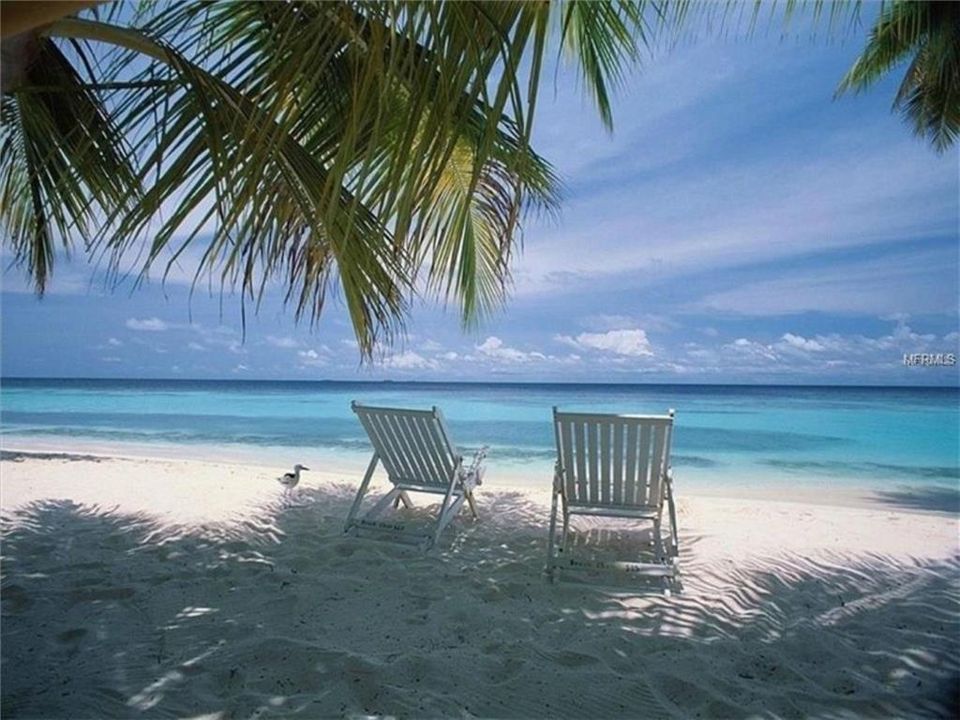 Sunny Anna Maria Island