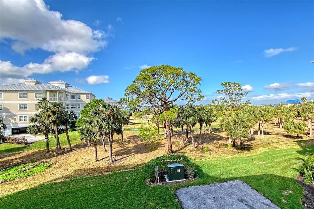 view from living room/patio