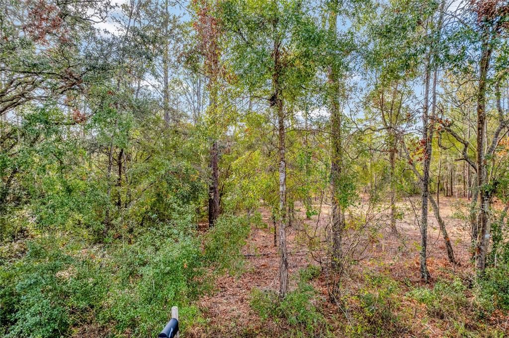For Sale: $49,900 (0.96 acres)