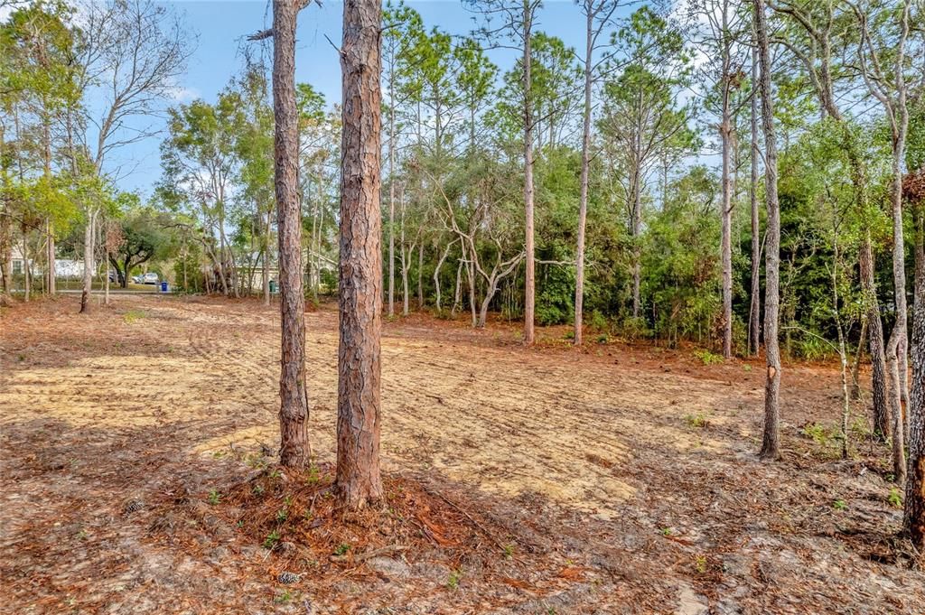 For Sale: $49,900 (0.96 acres)