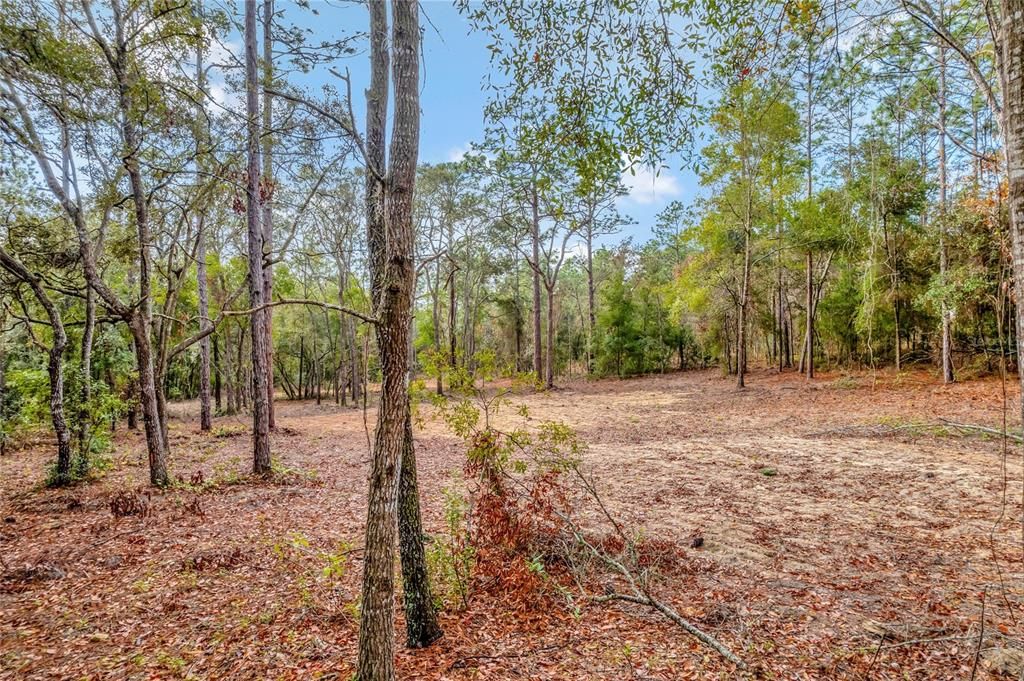 For Sale: $49,900 (0.96 acres)