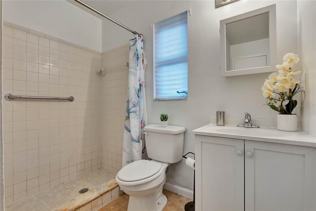 Primary Bathroom w/ Safety Bars in Shower