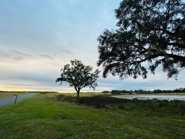 На продажу: $1,012,050 (44.98 acres)