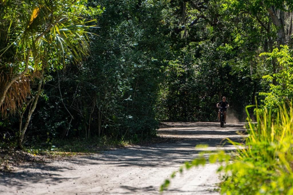 Park Trails