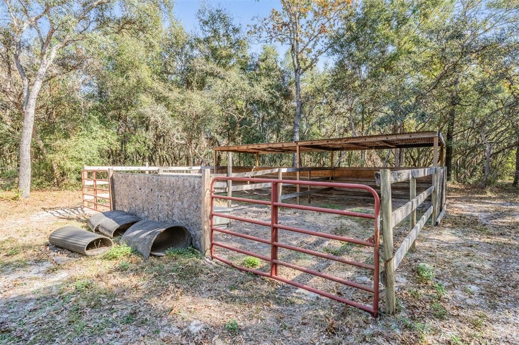 Loafing Shed