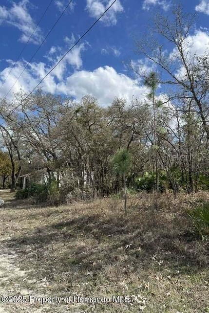 For Sale: $55,000 (1.20 acres)