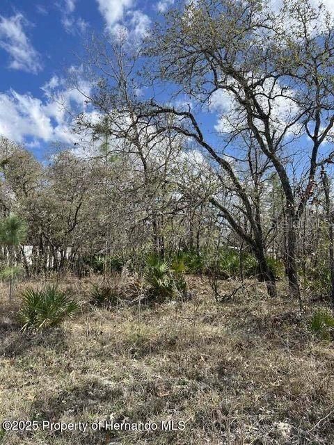 For Sale: $55,000 (1.20 acres)