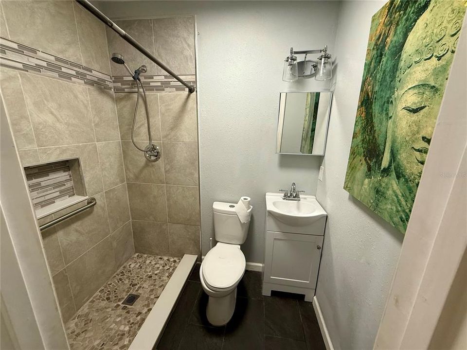 In-Law Suite Bathroom