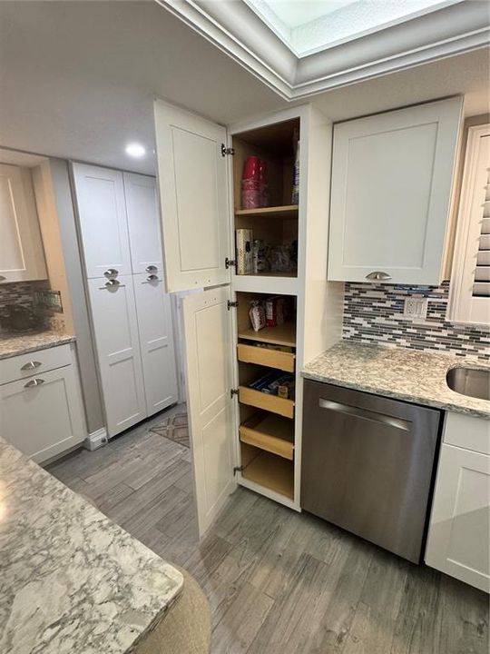 Pantry Cabinet with pull out shelves