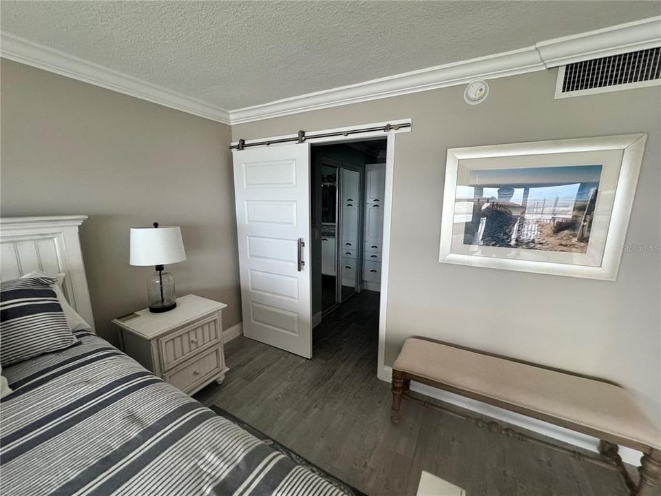 Barn Door for privacy in main bath