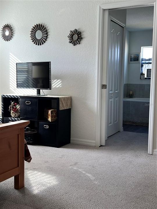 Primary bedroom hallway leading into bathroom