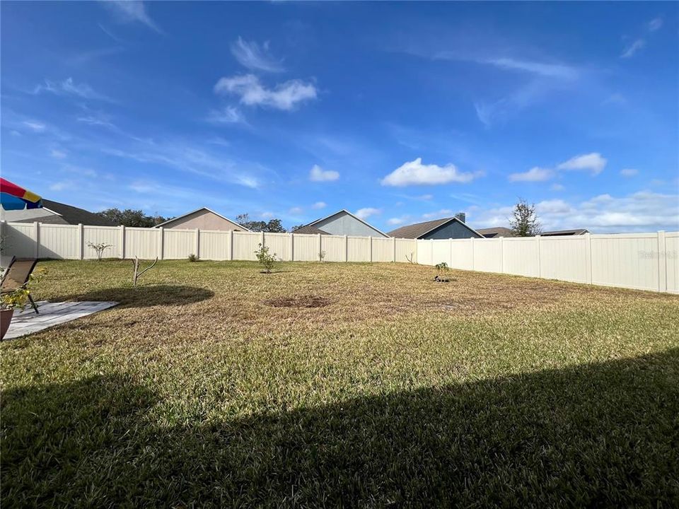 Large fenced in backyard