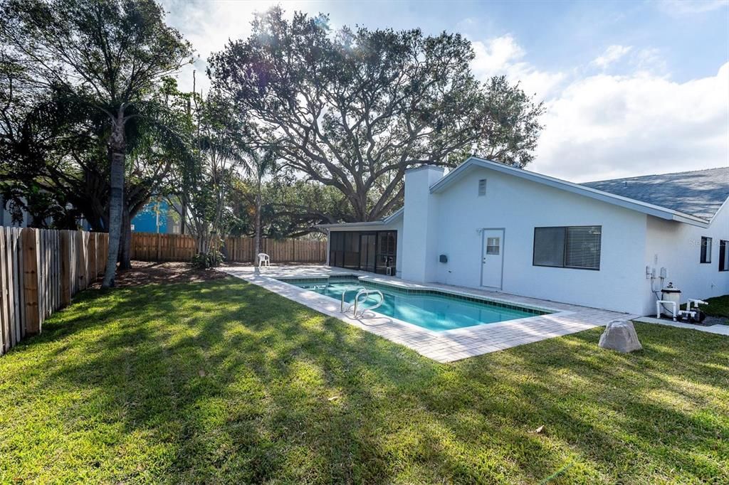 Pool and backyard