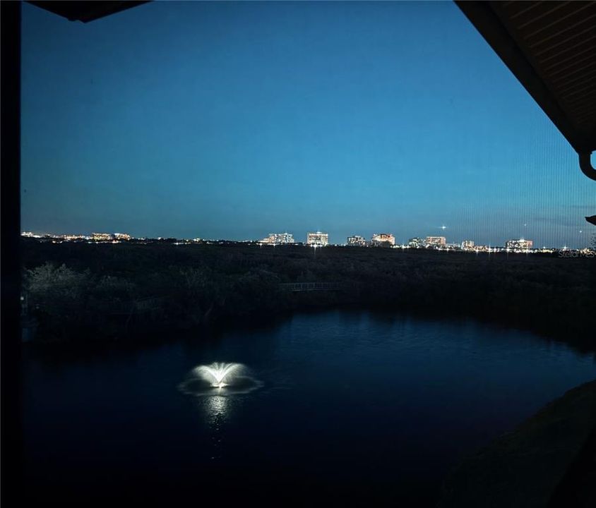 City view at night