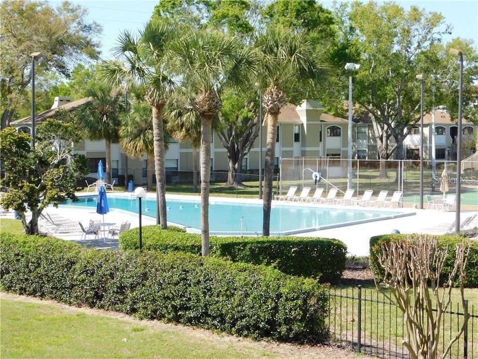 Large Community Pool