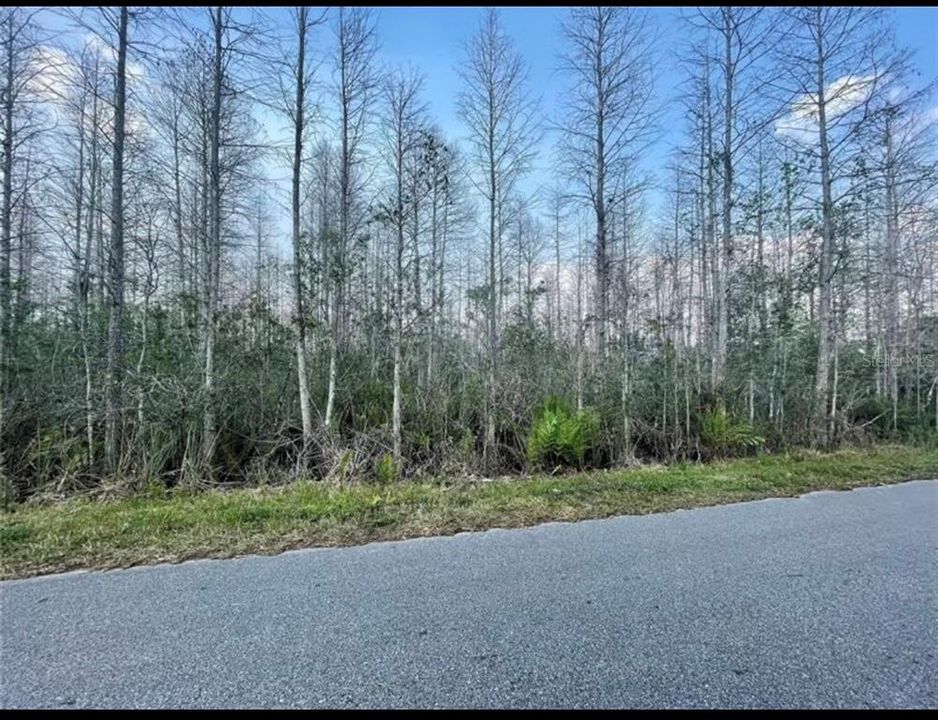 待售: $35,000 (0.65 acres)