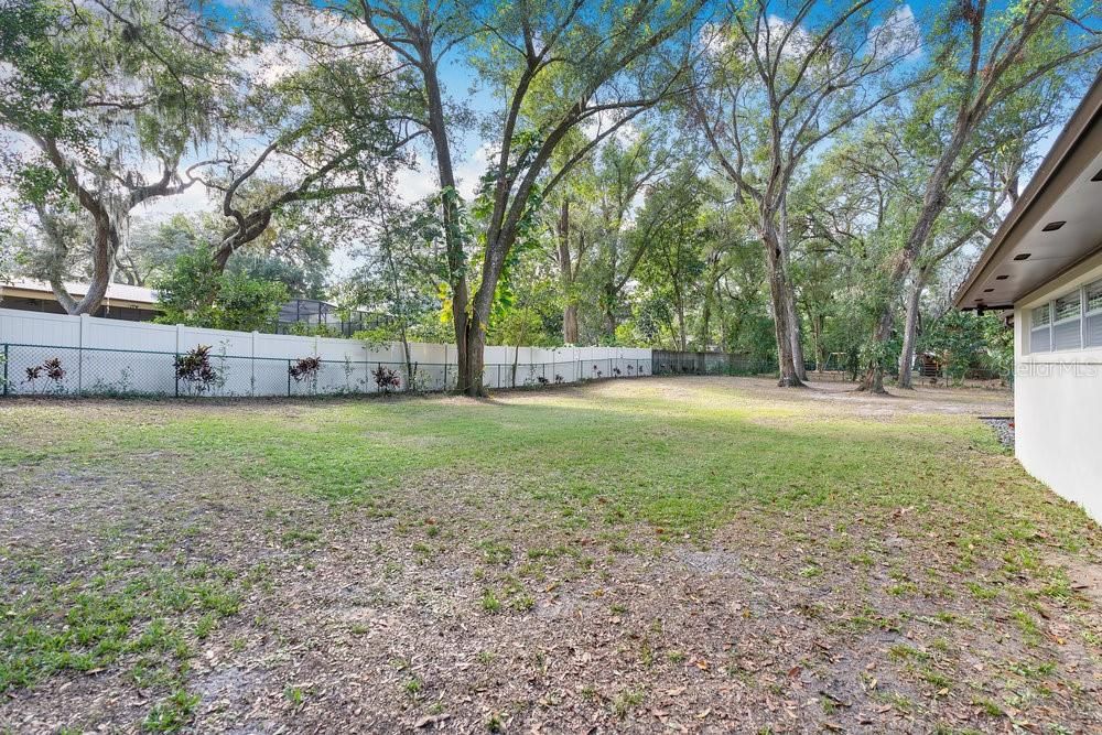 HUGE backyard with beautiful oak trees