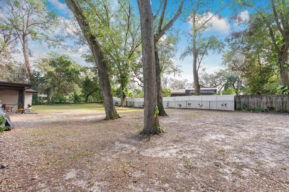 HUGE backyard with beautiful oak trees