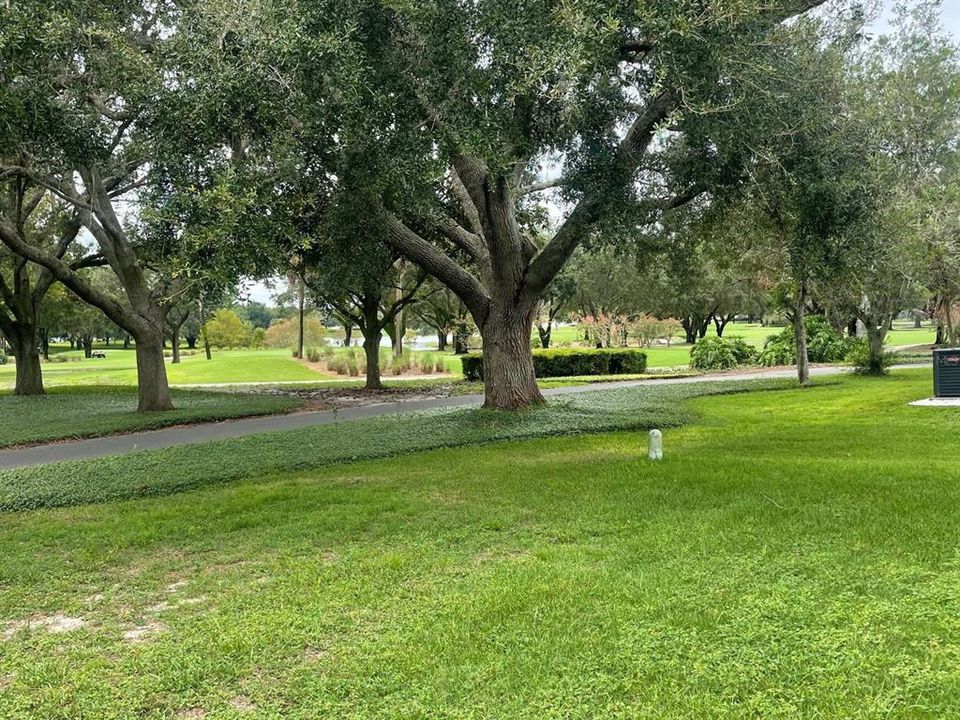 Golf Course View