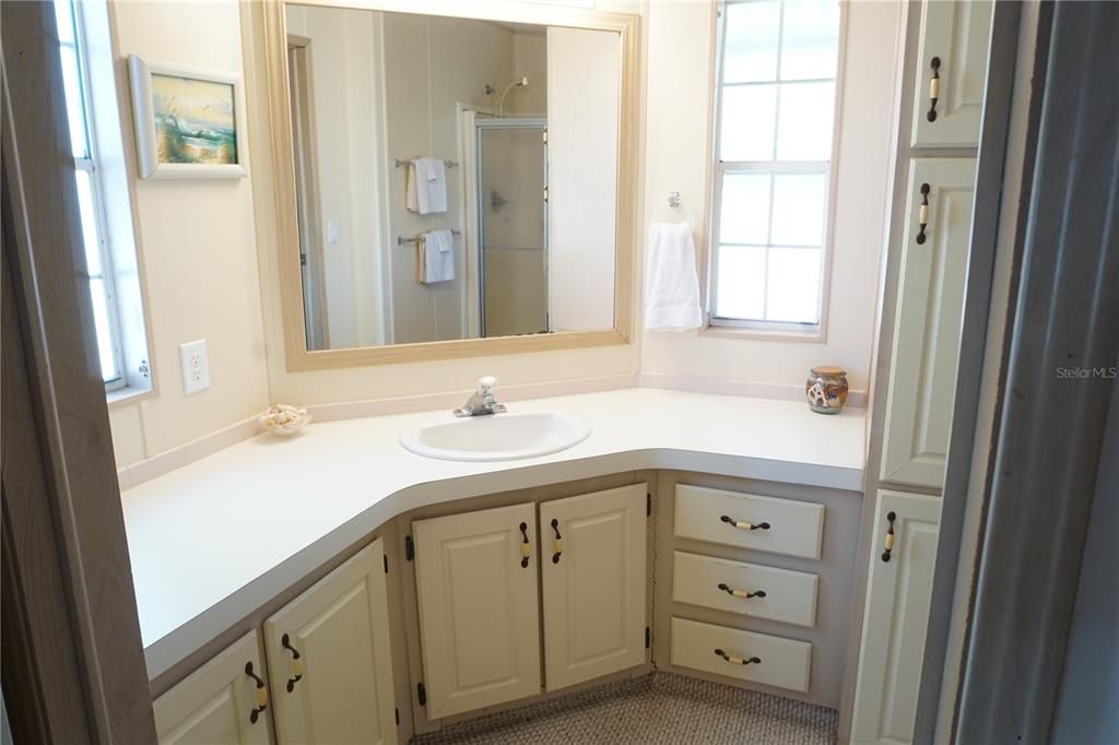 Primary ensuite bathroom with great storage and counter space