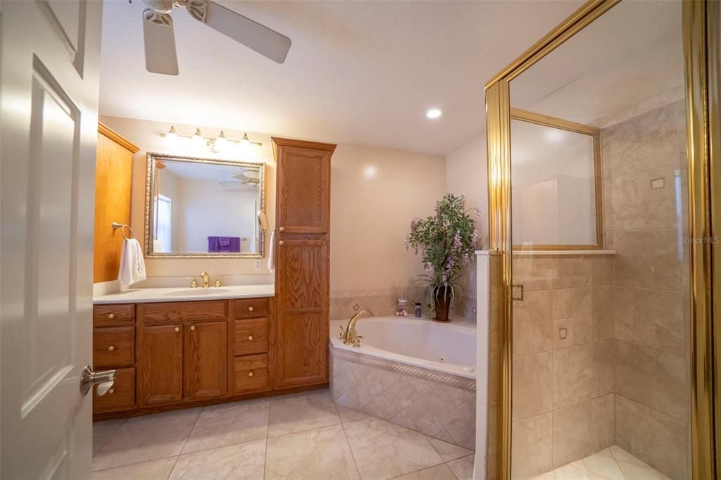 Primary bathroom with jetted tub and walk-in shower