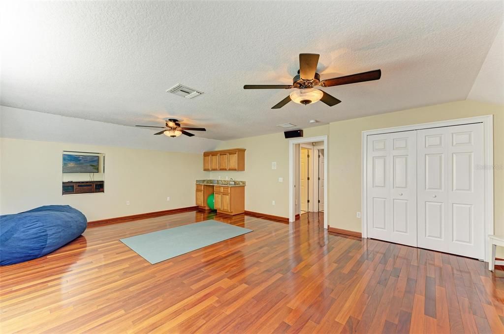 Large bonus room and full bathroom just outside the door