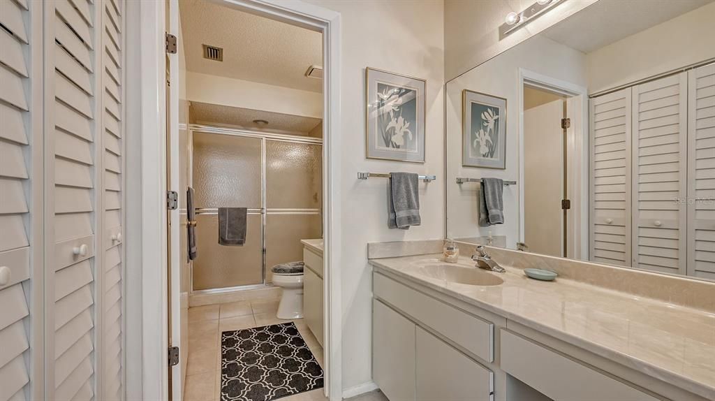 Guest Bath and Walk-In Closet