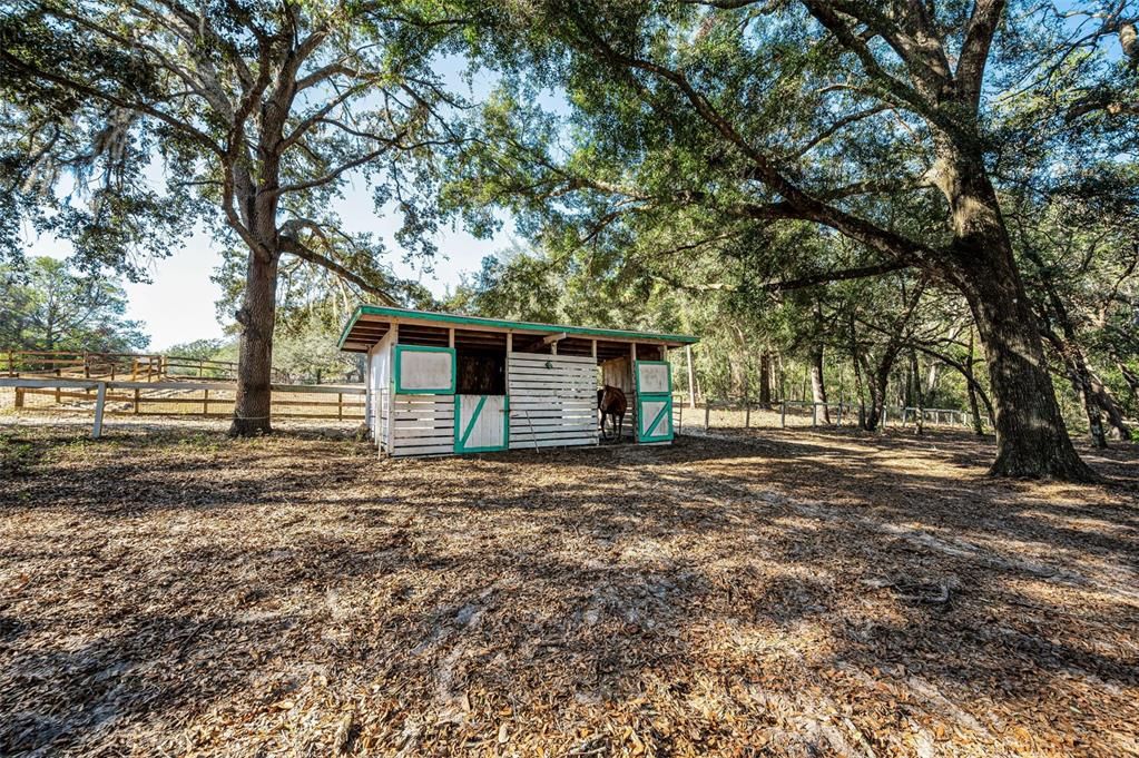 2 stall shelter/barn