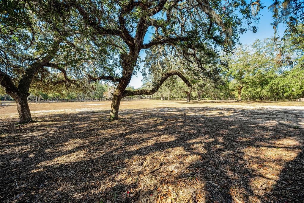 For Sale: $425,000 (5.04 acres)