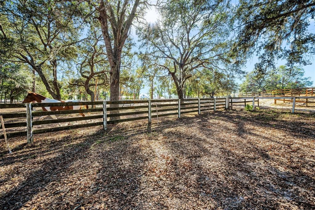 For Sale: $425,000 (5.04 acres)