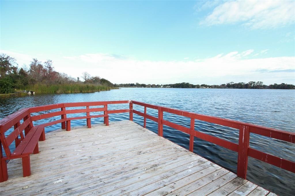 Pier View