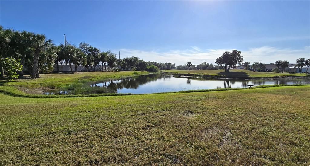 Pond view from home