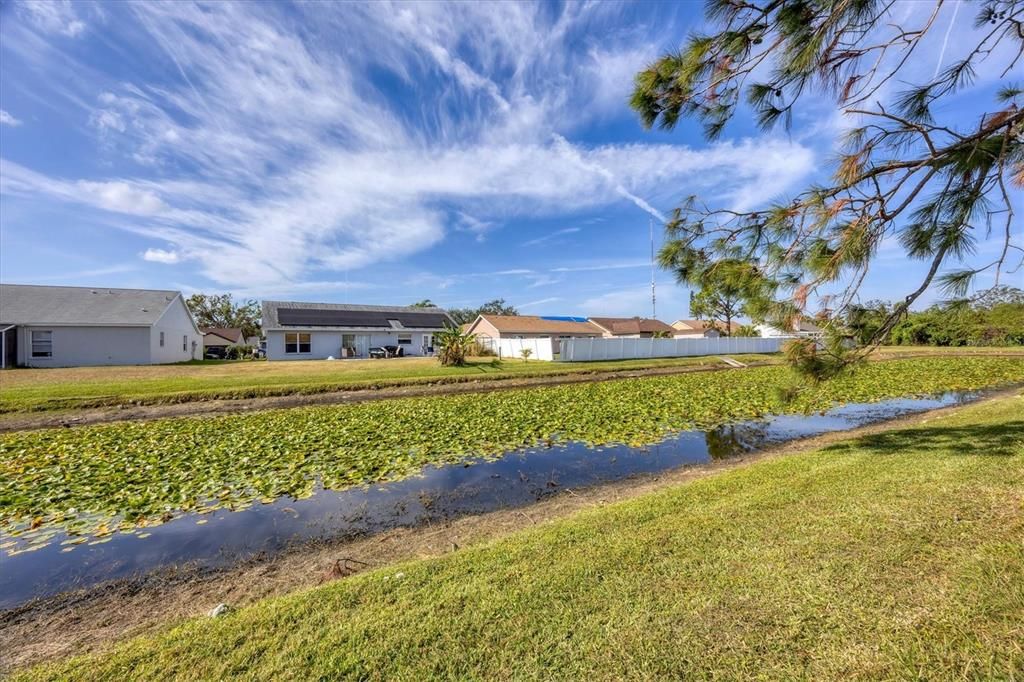 Pond behind home