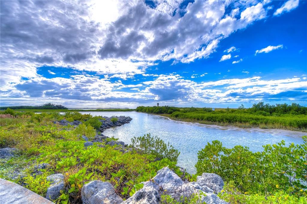 Estuary/lagoon