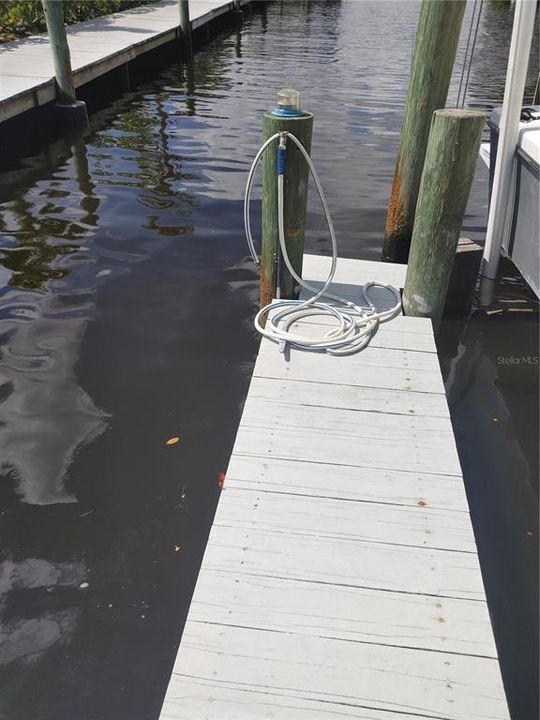 Guest dock and a Manatee in canal