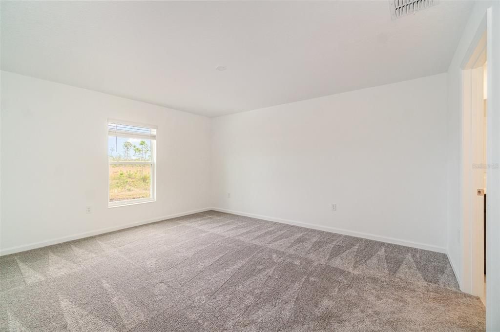 Primary Bedroom looks out to conservation area.