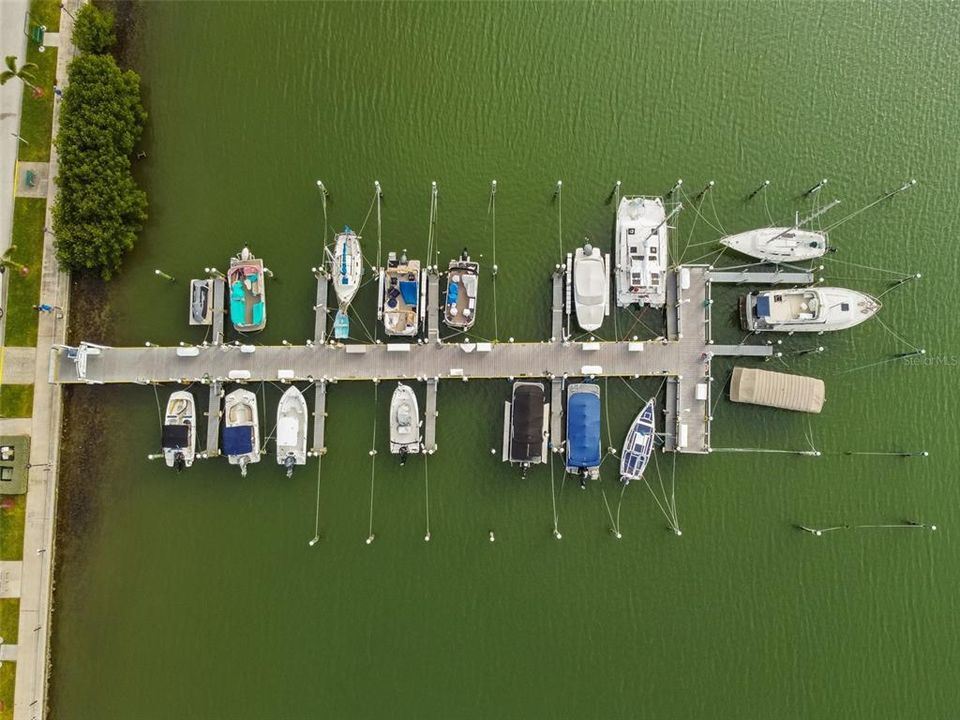 One of the marina docks