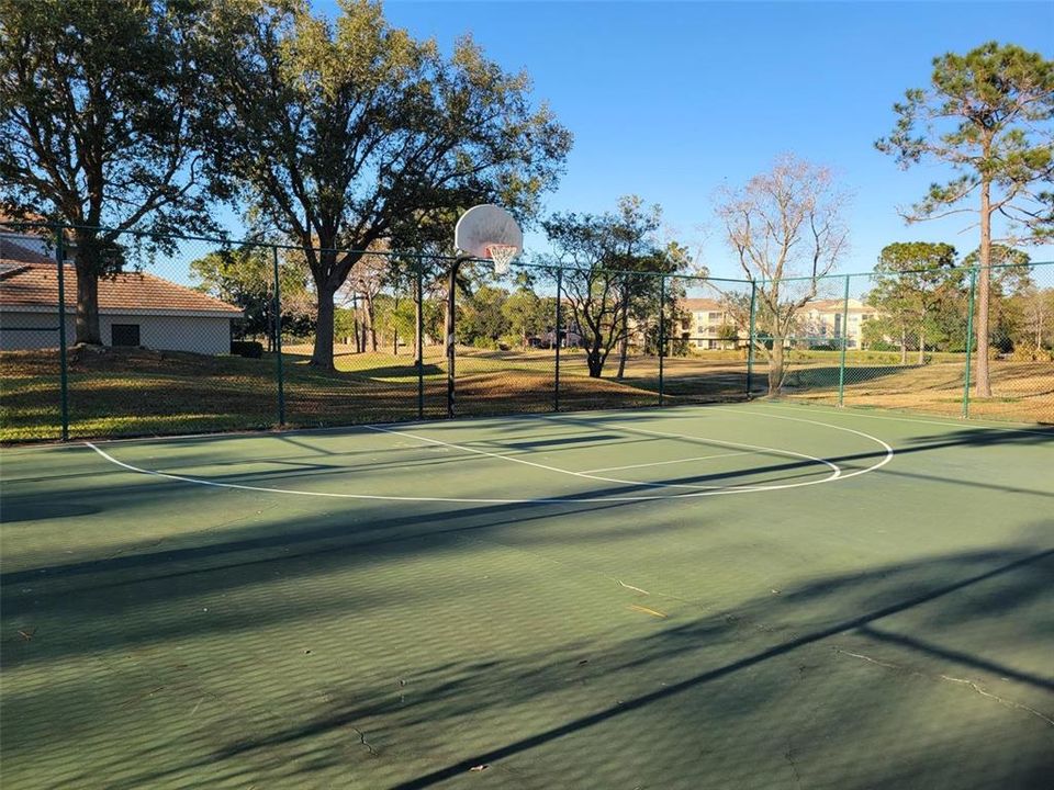 Basketball Court