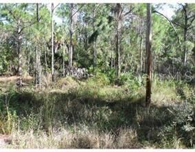 En Venta: $19,900 (1.00 acres)