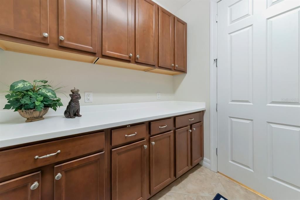 Storage cabinets and Corian countertop in Laundry