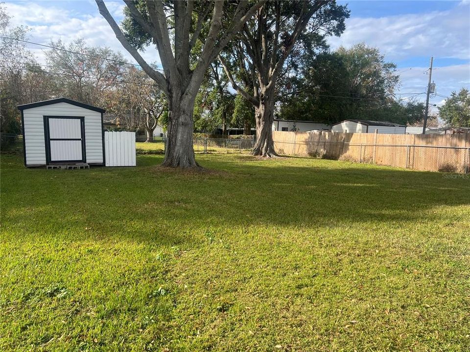 Back yard w shed