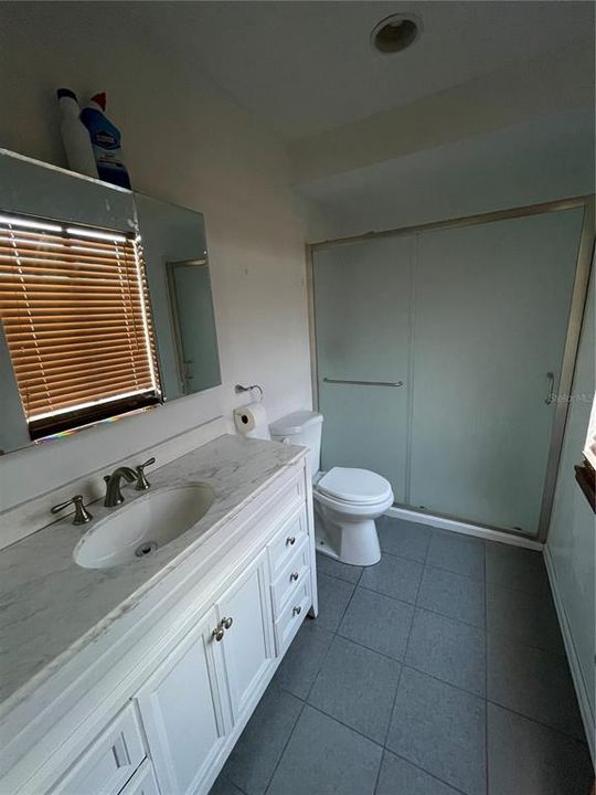 Ensuite primary bathroom w/ shower and large vanity.