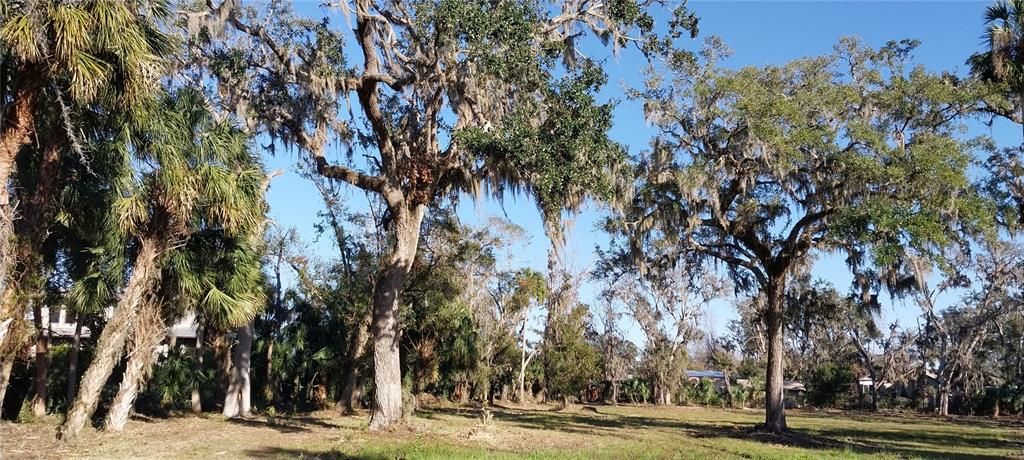 En Venta: $415,000 (3.77 acres)