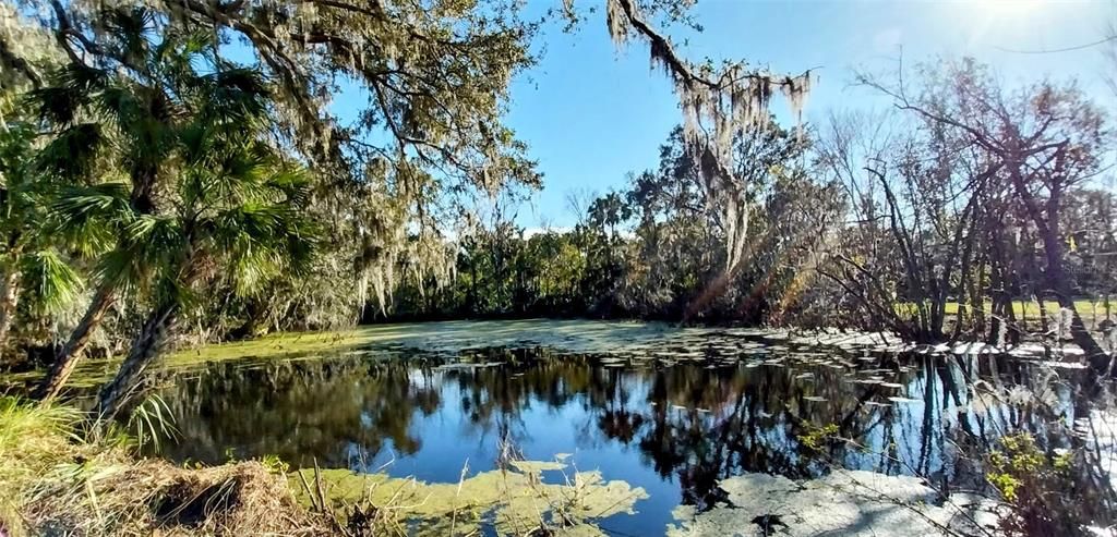 En Venta: $415,000 (3.77 acres)