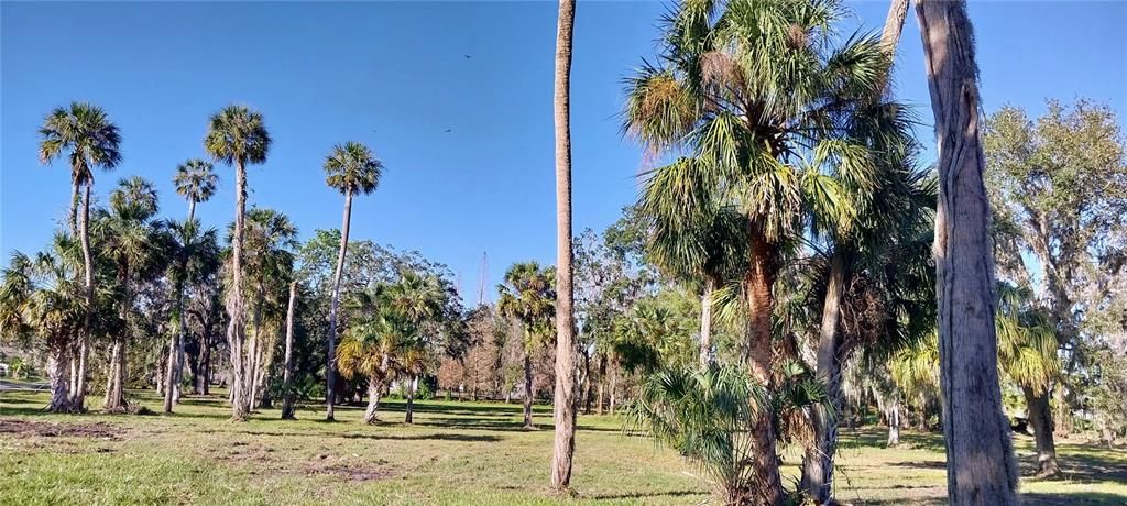 En Venta: $415,000 (3.77 acres)