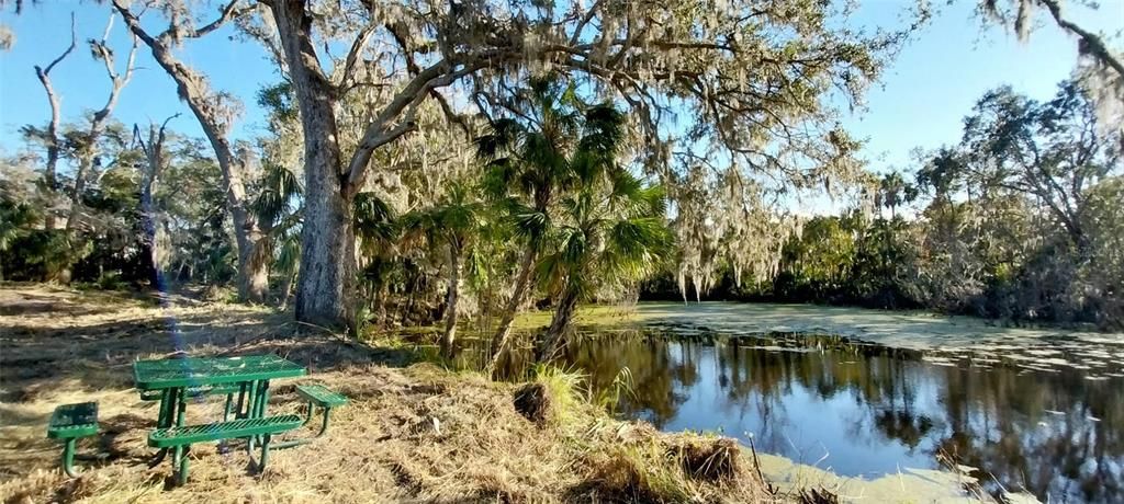 En Venta: $415,000 (3.77 acres)