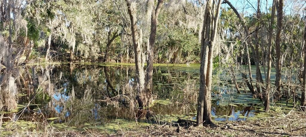 En Venta: $415,000 (3.77 acres)