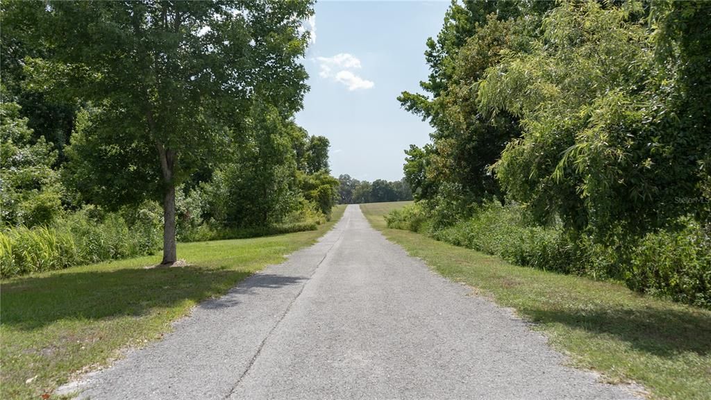 Lange Farm rd view